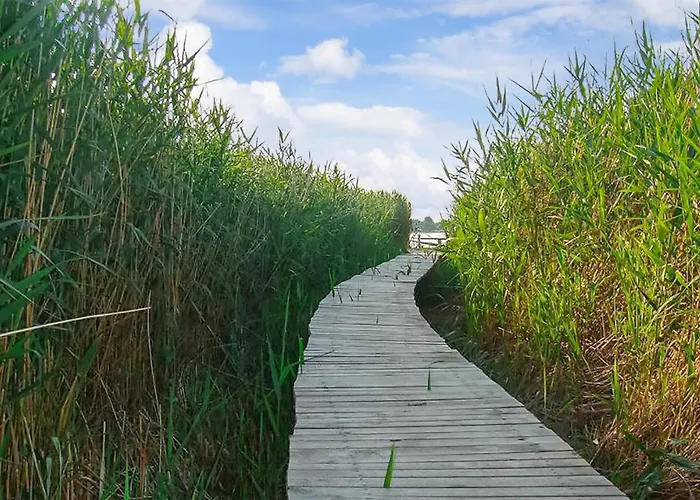 Cozy In With Kitchen Mścice